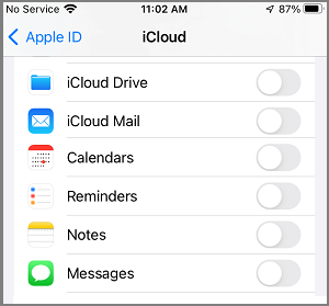 Disable iCloud Services