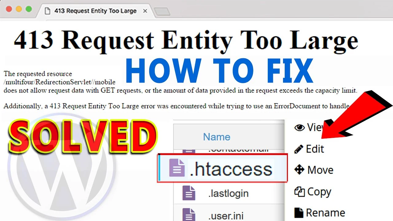 Nginx Error: 413 Request Entity Too Large